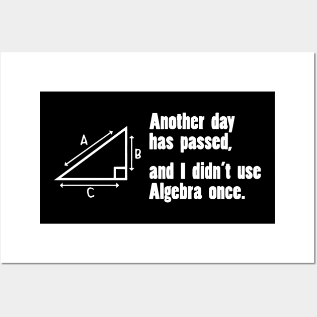 Another Day Has Passed, And I Didn't Use Algebra Once Wall Art by Gilbert Layla